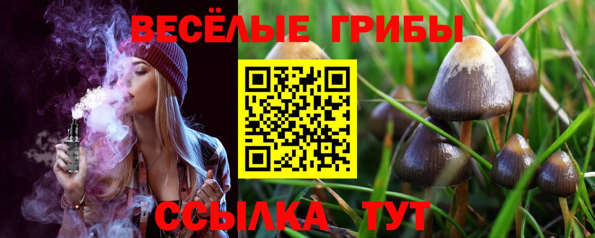 Алушта  Галлюциногенные грибы Cubensis  Вход с VPN  Псилоцибиновые грибы мицелий 